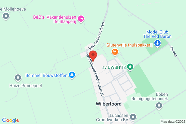 De Wilg