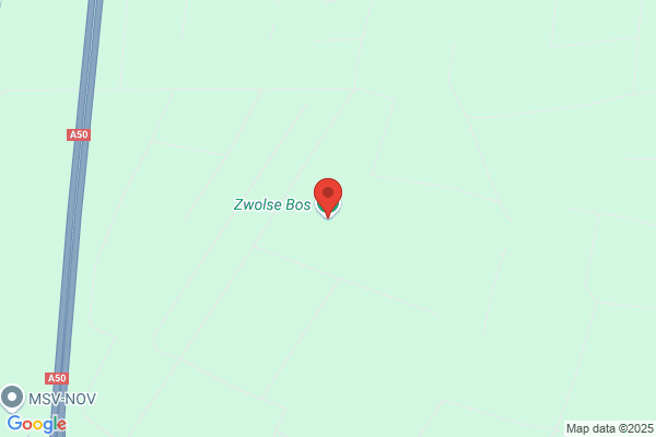 Bos