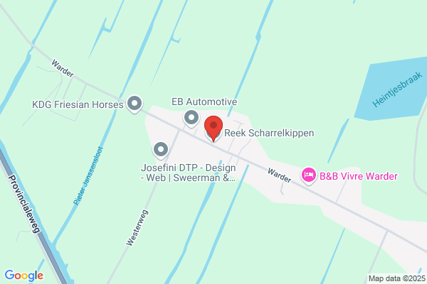 Firma N. Reek En Zoon