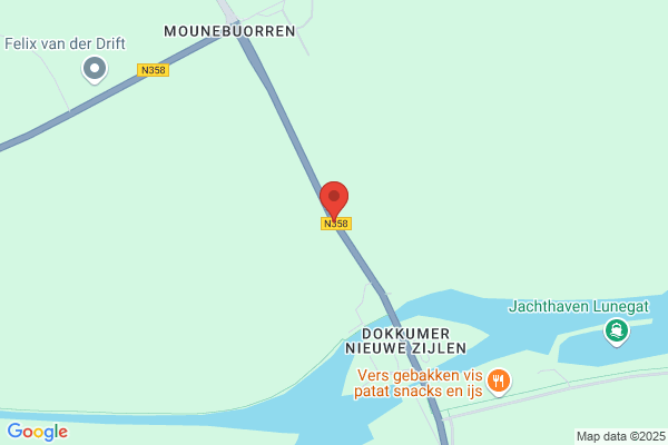 Brandgans, De