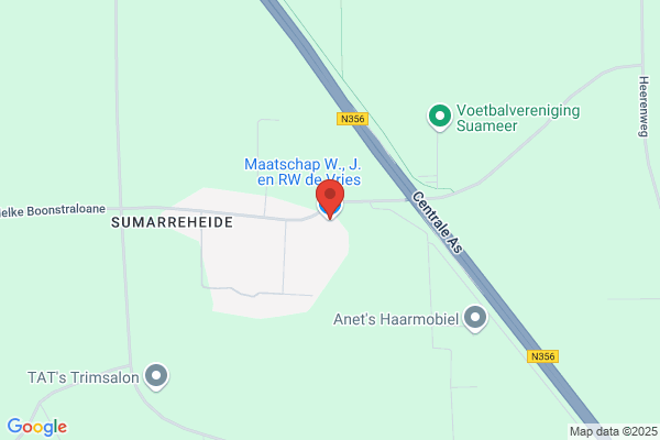 Vries, J P W De