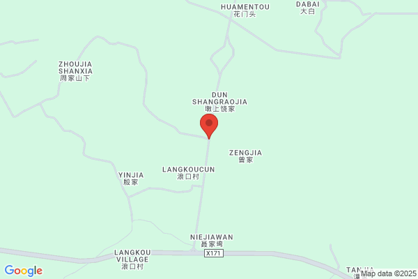 Santen Bv, Van