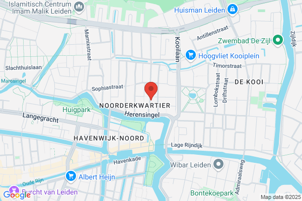 De Dolfijn