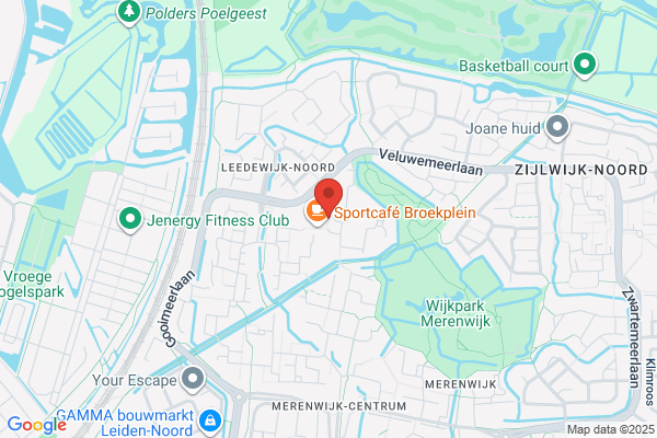 Harlekijn