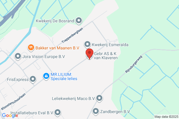 K Van Klaveren