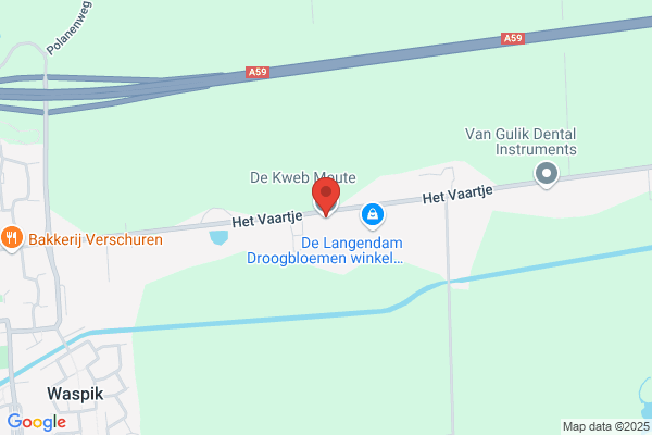 P Van Den Kieboom