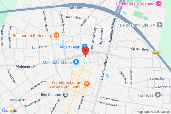 Lammerts Van Bueren