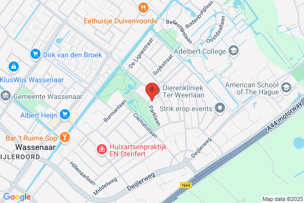 Dol-Fijn