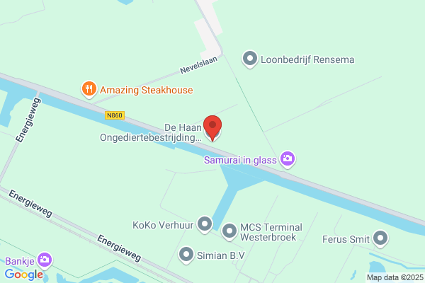 De haan ongediertebestrijding en plaagdierbeheersing