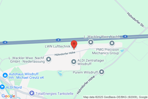 Steur, L W N