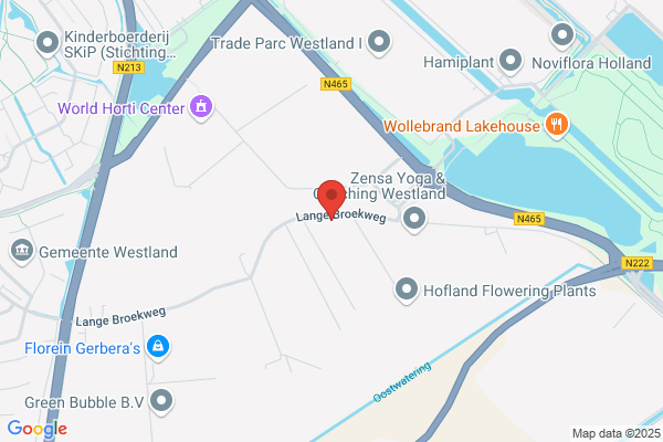 Jovaplant Naaldwijk Bv