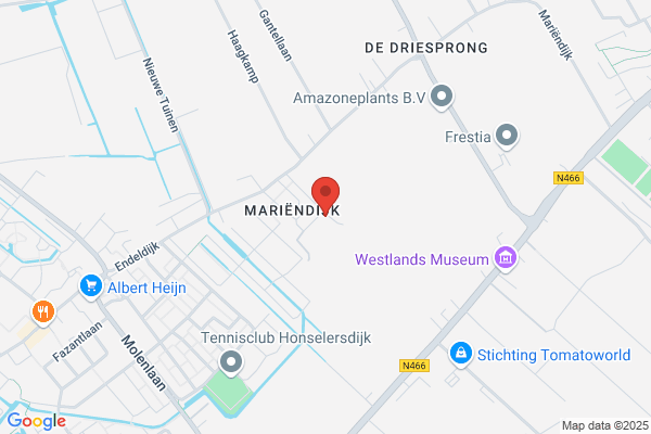 Kwekerij De Palmentuin Bv