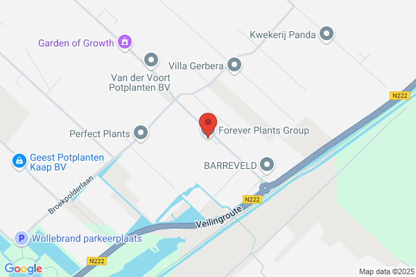 Kwekerij Zwethlande