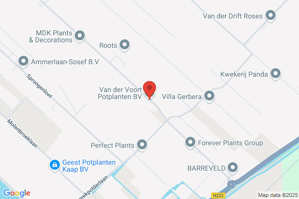 Van Der Voort's Handelskwekerijen Bv