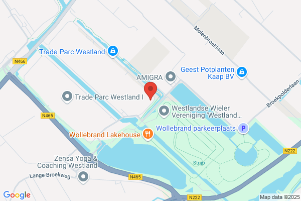 Noviflora Holland Bv