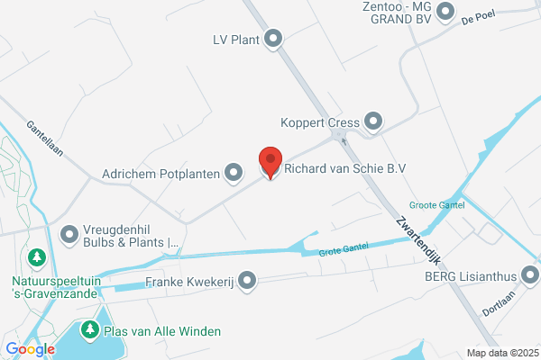 Richard Van Schie