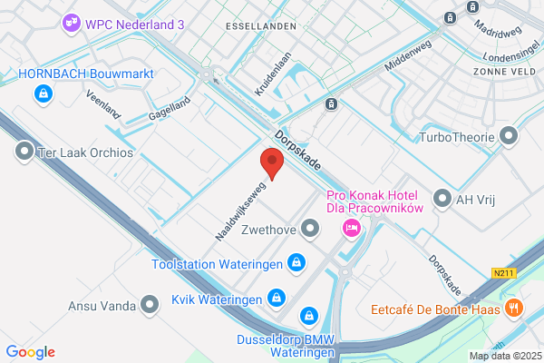 2 Dolfijnen