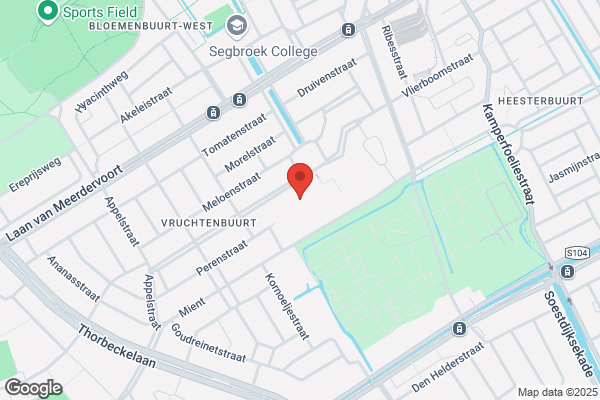 2 Vleermuizen