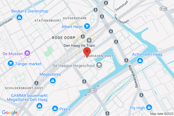 De Haagse Scholen