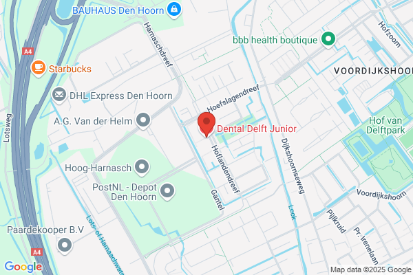 Dental Delft