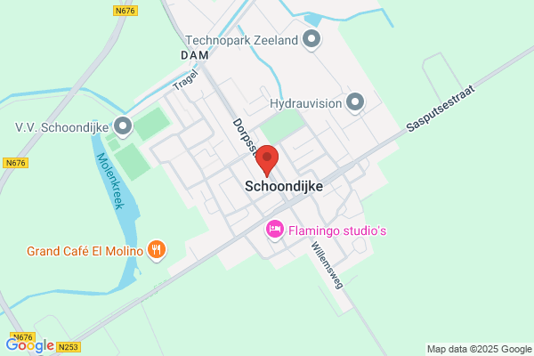 B. De Putter-Buyle Klassieke Homeopathie