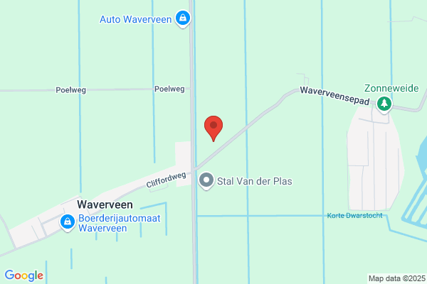 Loon- & Verhuurbedrijf W P de Jong BV