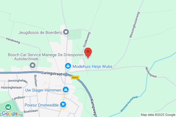 Manege De Driesporen