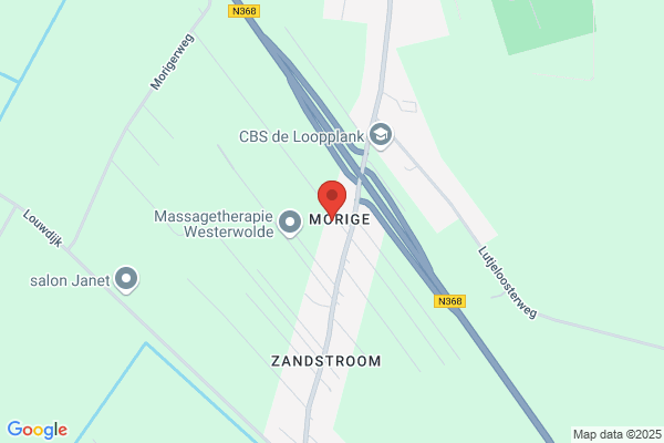 Molema Vastgoed & Assurantien