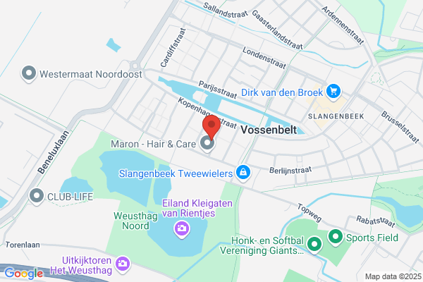 Fluitist Paul Smithuis