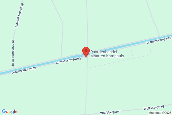 P.A.A. Kamphuis