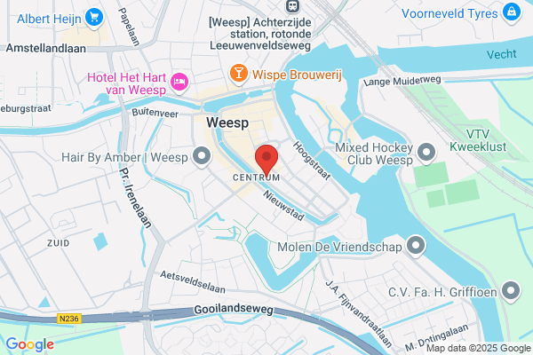 De Dames Van Amstel