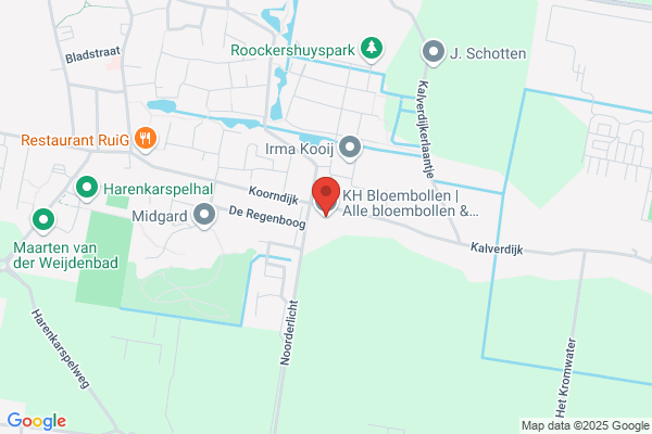 Hink Bloembollen
