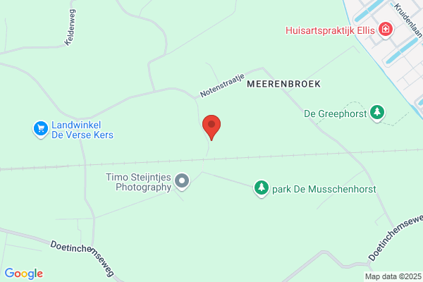 Vof Aloys En Diny Hetterscheid