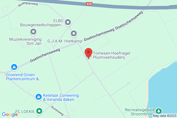 Tiemissen, J