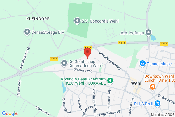 Wit, De