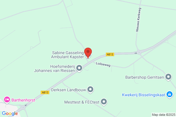 Kapsalon Francis Bisselink
