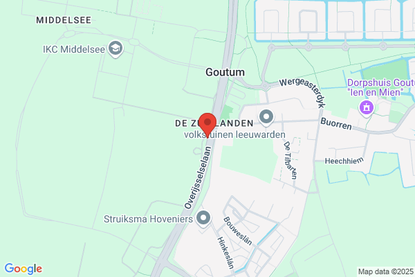 Vof Esso Benzine Station Goutum