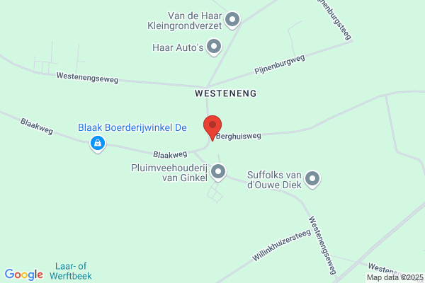 Manen Timmerwerk van