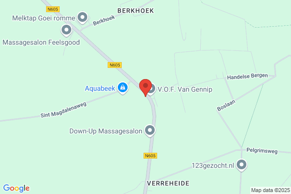 Ooms Management Consultants Bv