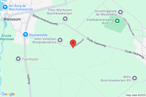 Sierplanten Kwekerij Jan Verkoyen