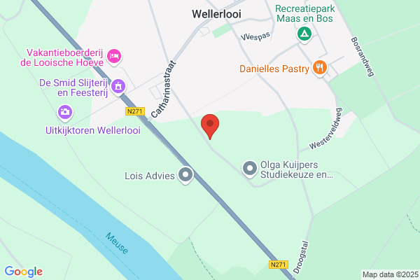 Theeuwen, J G M