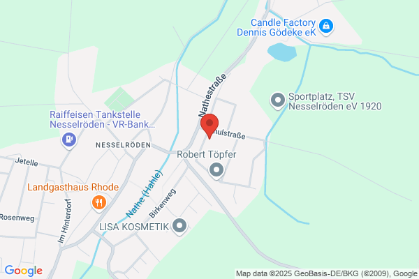 American Staffordshire Terriers