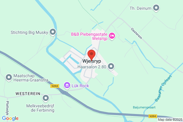Bijlsma Schilder