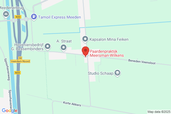 Praktijk Voor Paarden Gynaecologie