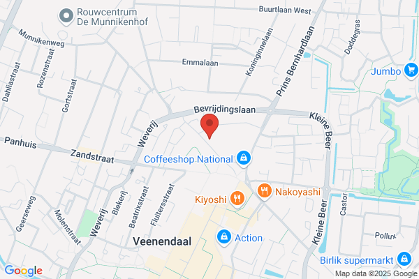 Solvay Pharmaceuticals Bv