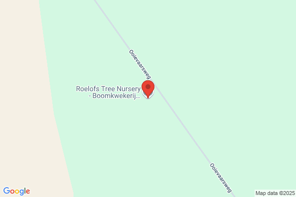 Vof Roelofs