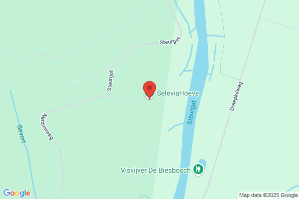 Broek, A Van Den