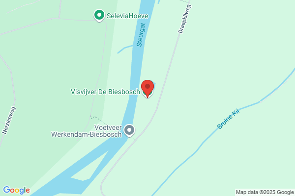 Forellen Visvijver De Biesbosch