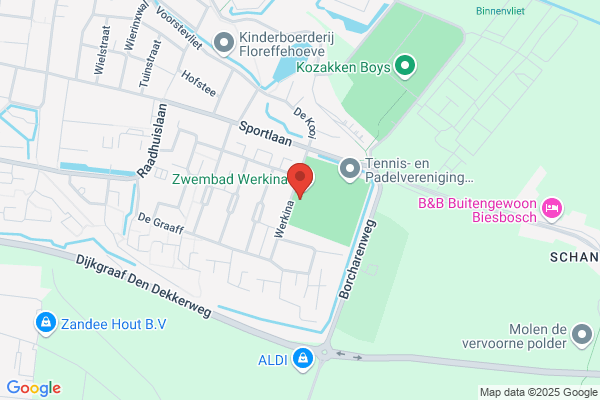 Biesboschzwemmers, De
