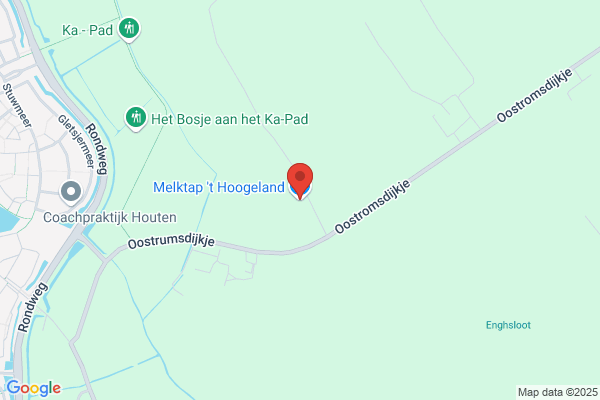 Lektuurshop Groenesteyn